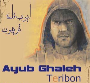 ایوب قلعه تریبون